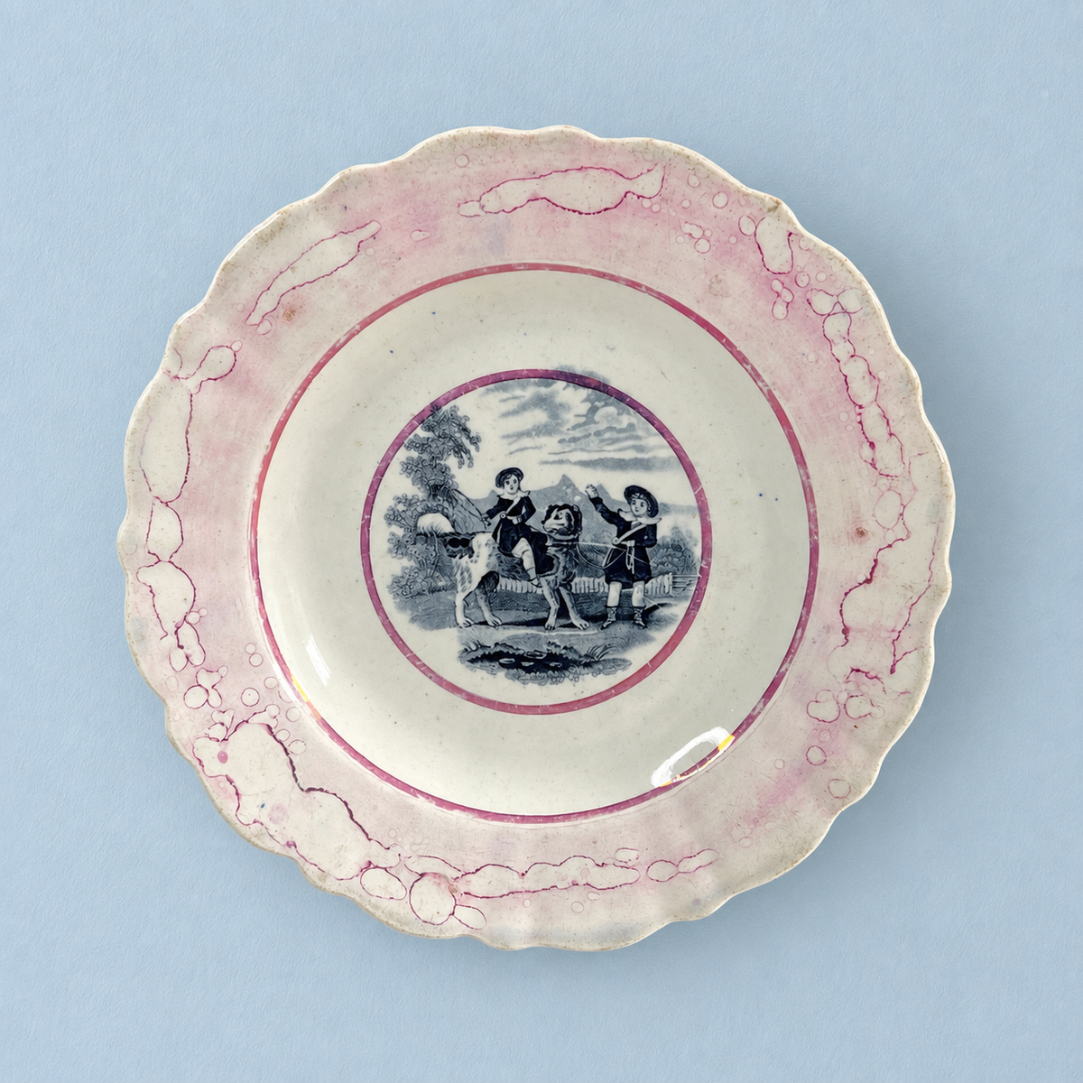 Victorian Newfoundland Dog Plate Pink Splash Lustre C 1850 RARE