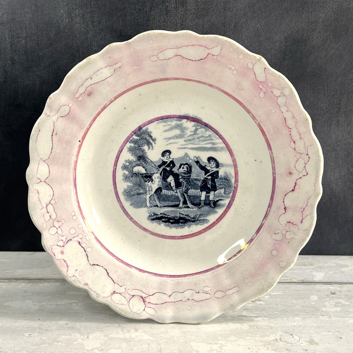 Victorian Newfoundland Dog Plate Pink Splash Lustre C 1850 RARE