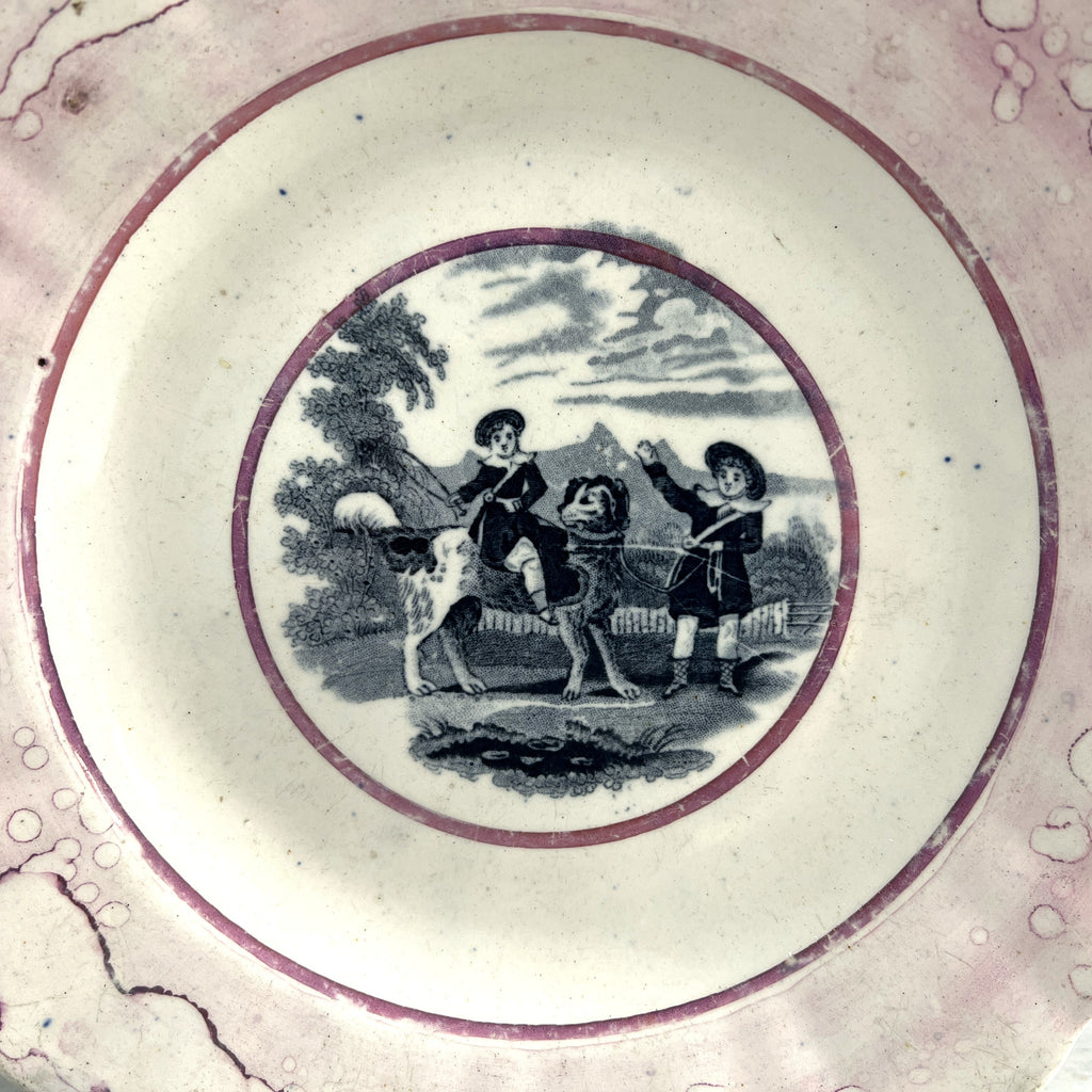 Victorian Newfoundland Dog Plate Pink Splash Lustre C 1850 RARE