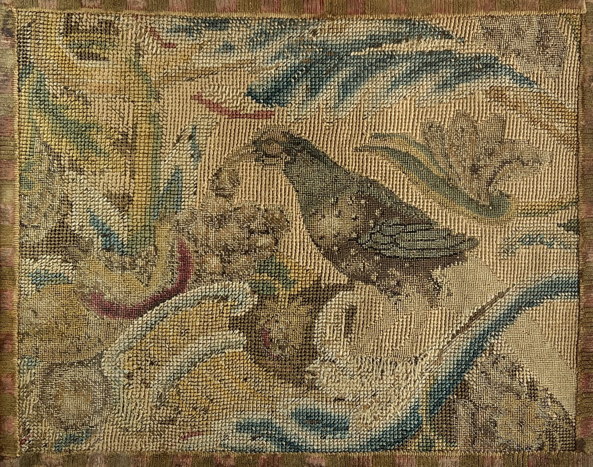 18th Century Canvas Work Needlework Peahen Bird English C 1740