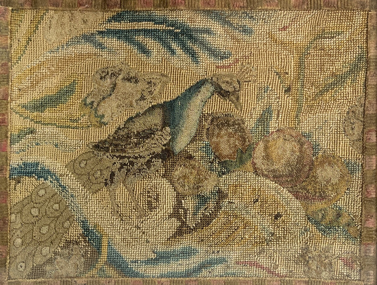 18th Century Needlework Canvas Work Picture Peacock Fruits English C 1740 AF