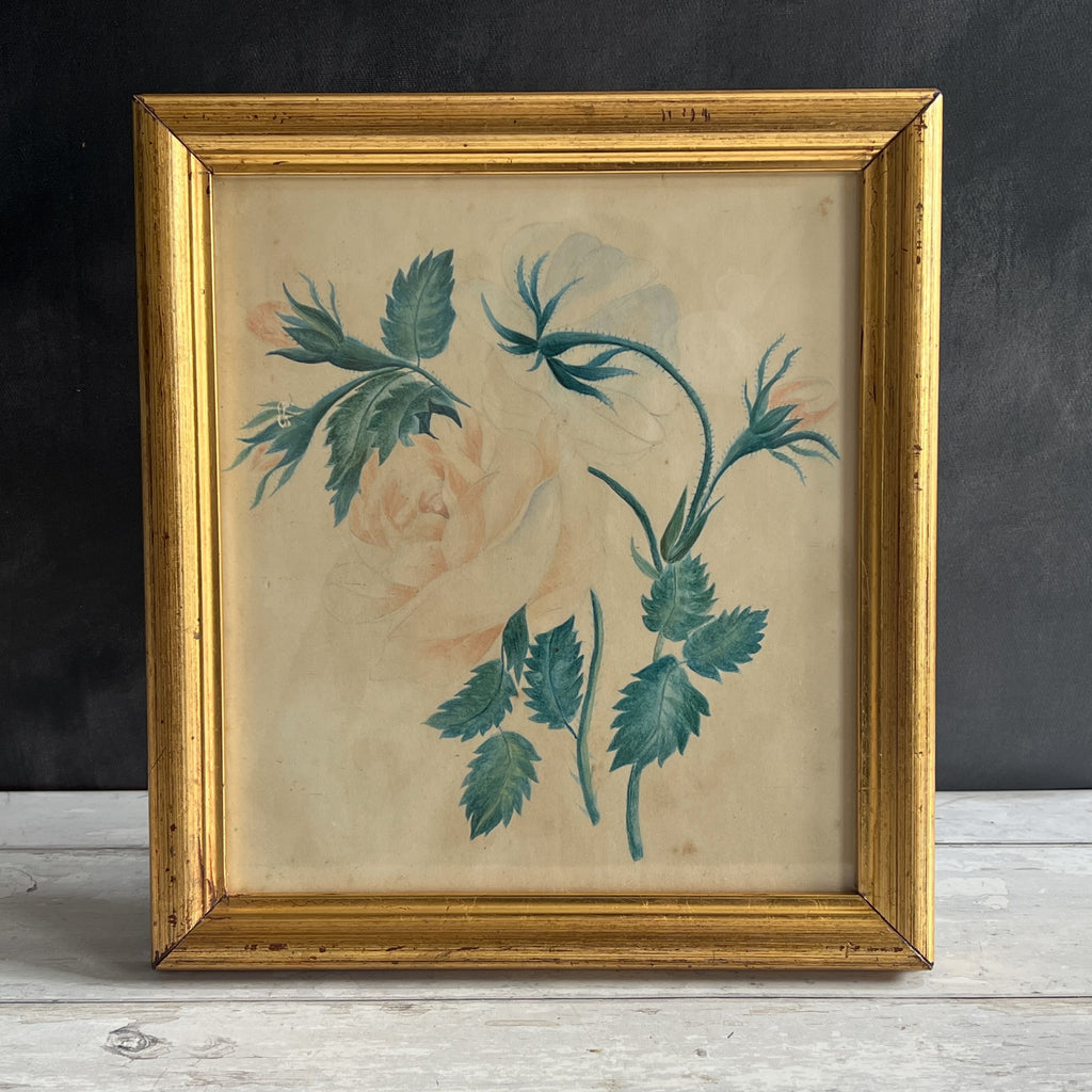 19th Century English Antique Floral Rose Watercolor Painting C 1870
