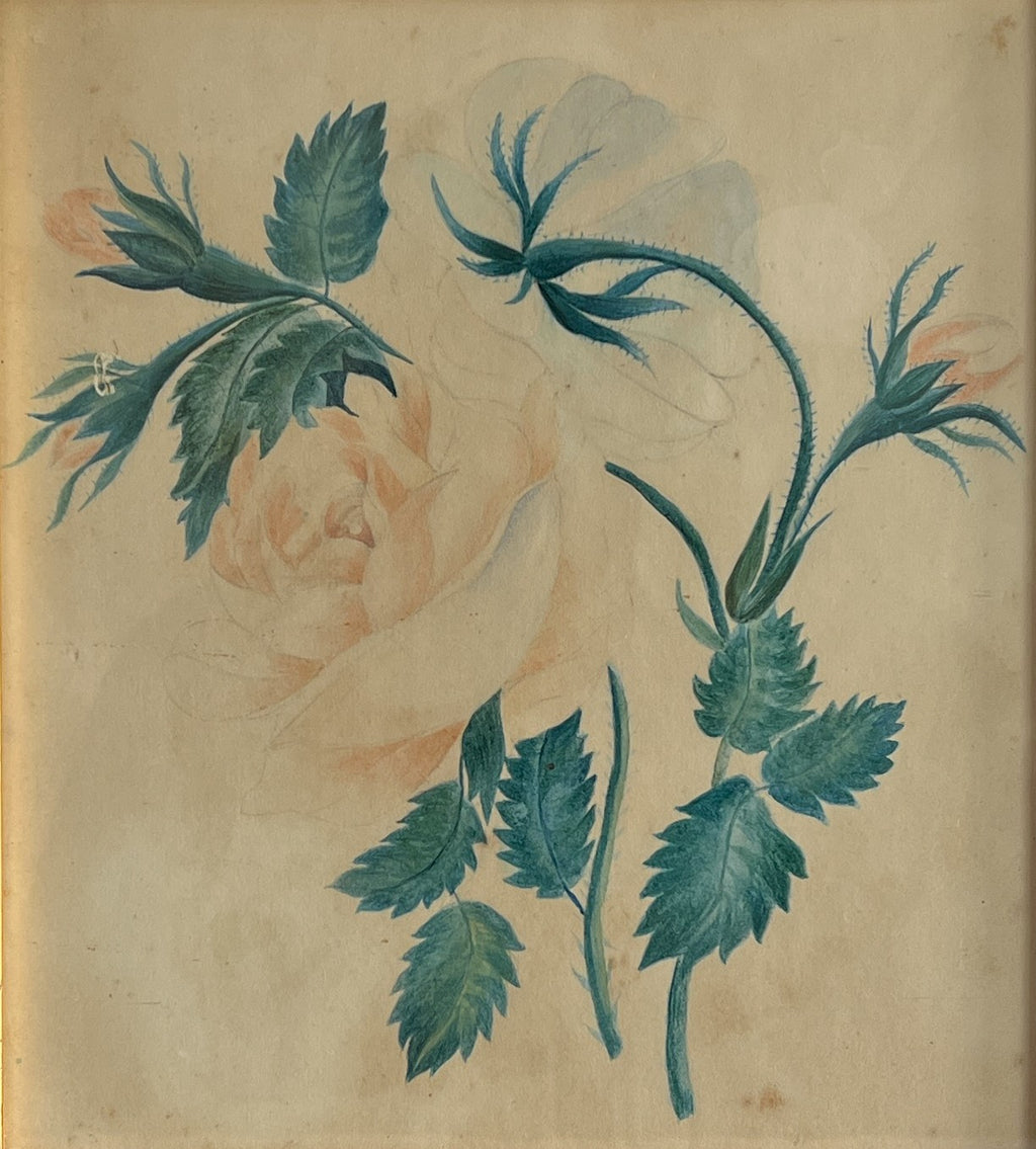 19th Century English Antique Floral Rose Watercolor Painting C 1870