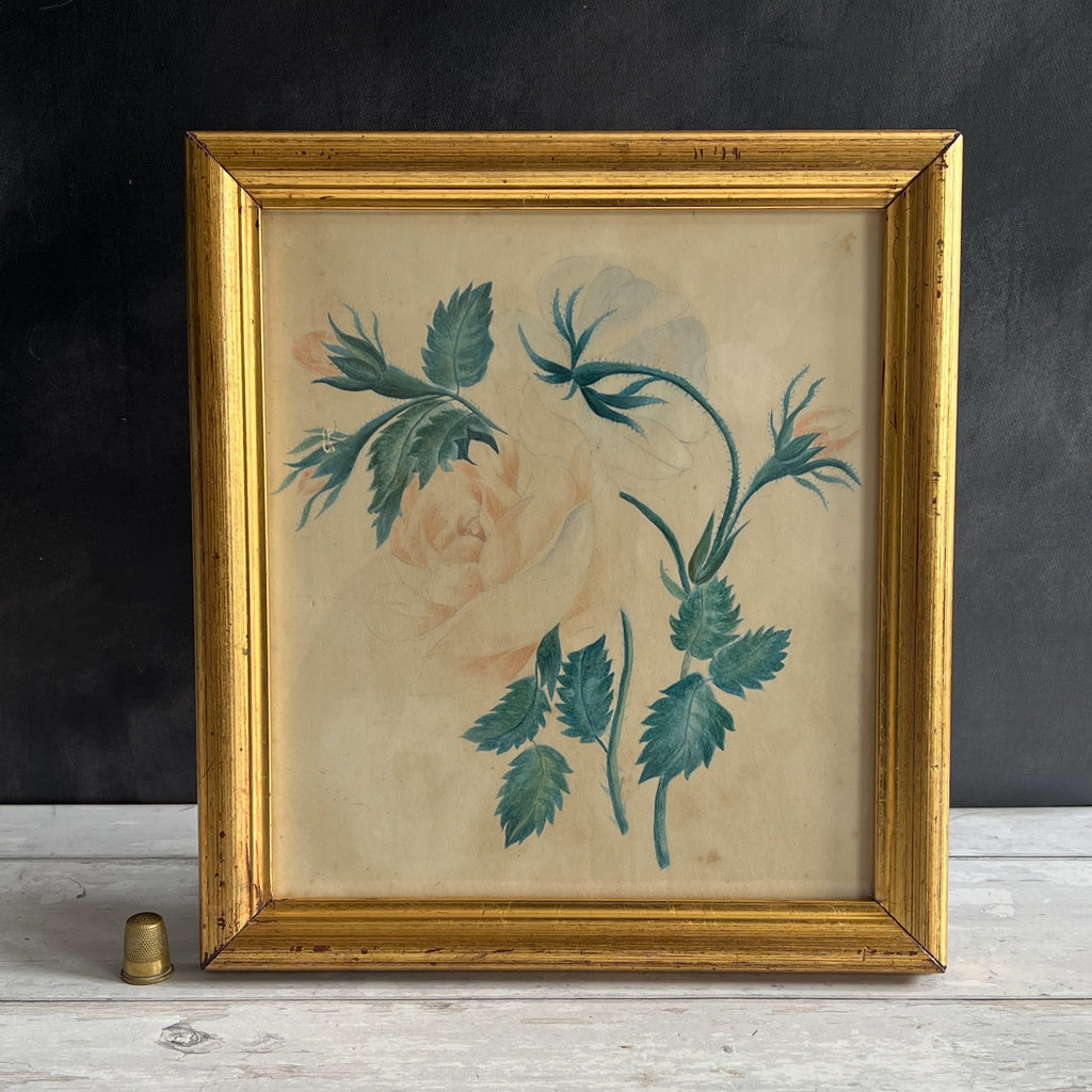 19th Century English Antique Floral Rose Watercolor Painting C 1870