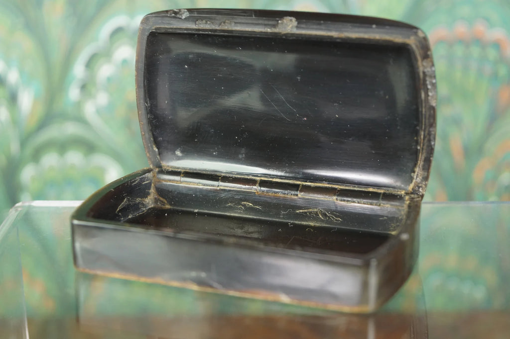 Antique 19th Century Pressed Horn Snuff Box Floral Design C 1830