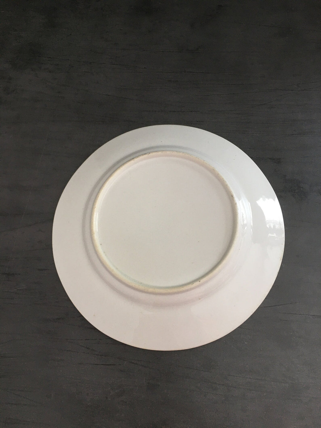 Antique Flower Plate Hand Painted Floral English Circa 1820