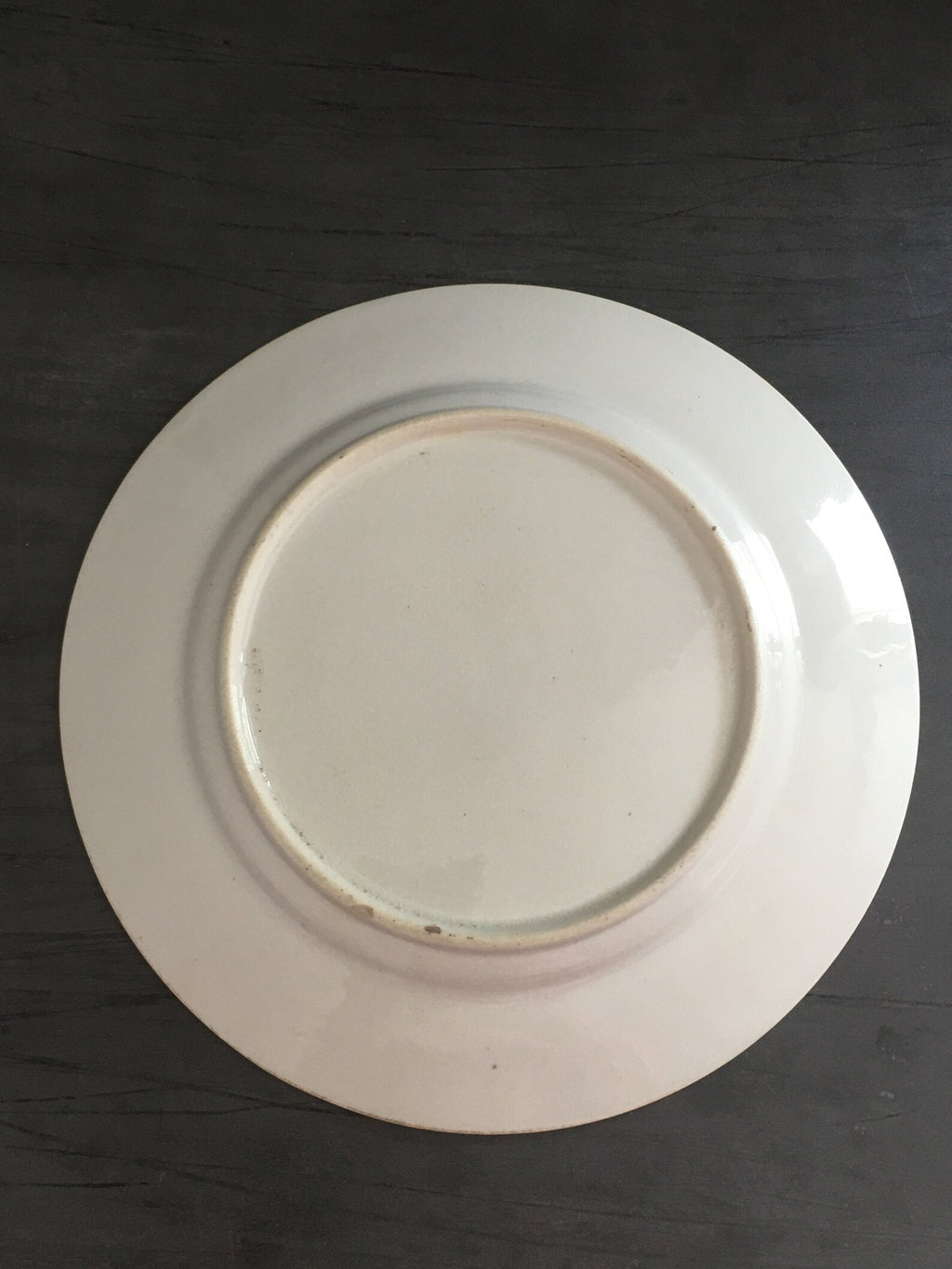 19th Century Georgian Porcelain Dessert Plate Hand Painted Floral Roses English Circa 1820