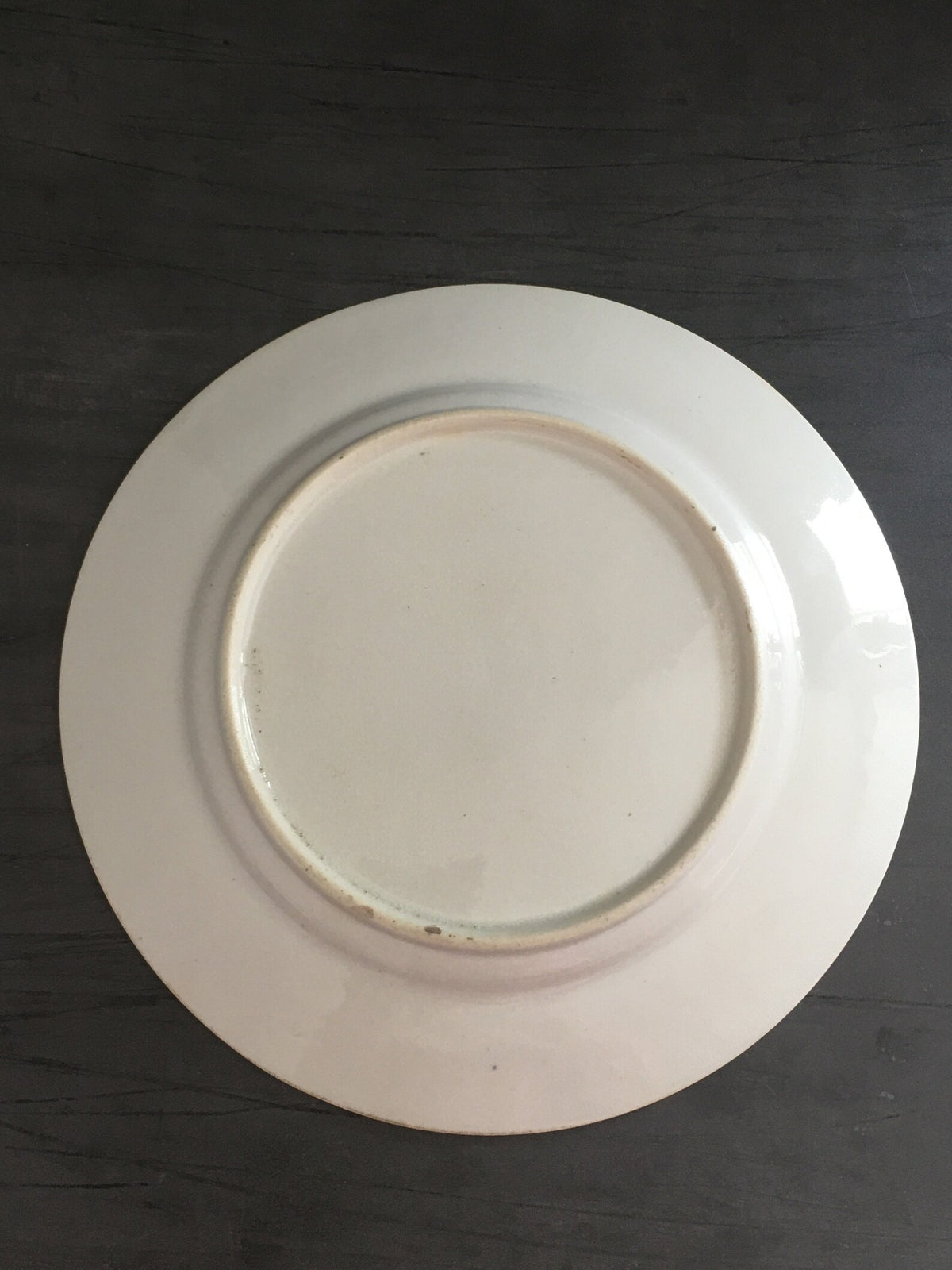 19th Century Georgian Porcelain Dessert Plate Hand Painted Floral Roses English Circa 1820