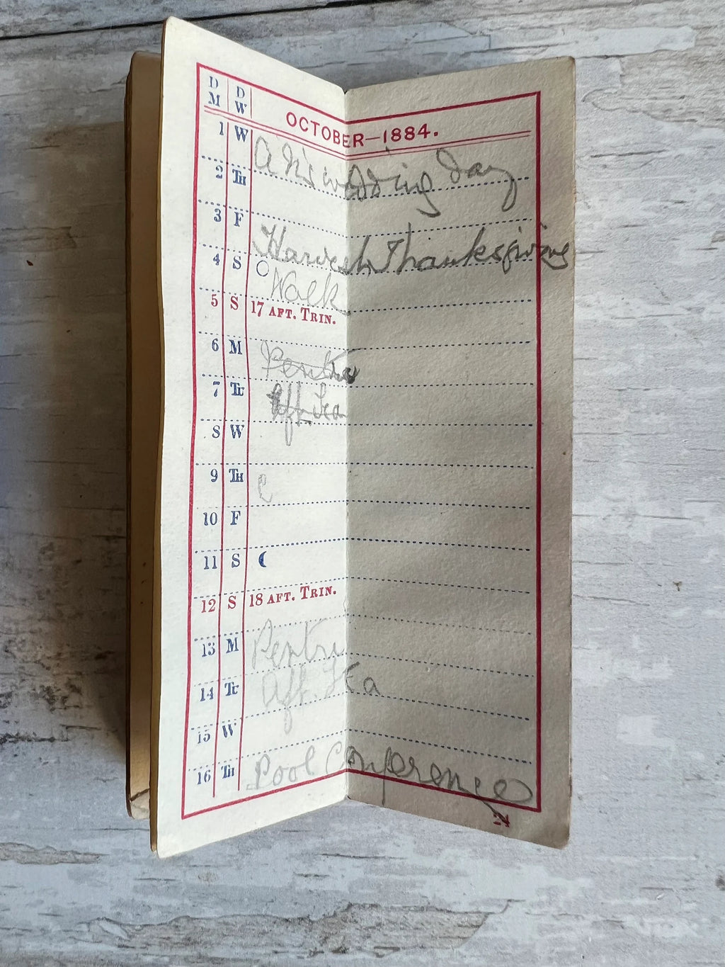 19th Century Miniature Red Leather Cased Diary De La Rue 1884 Victorian