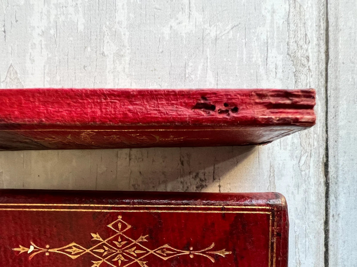 19th Century Miniature Red Leather Cased Diary De La Rue 1884 Victorian