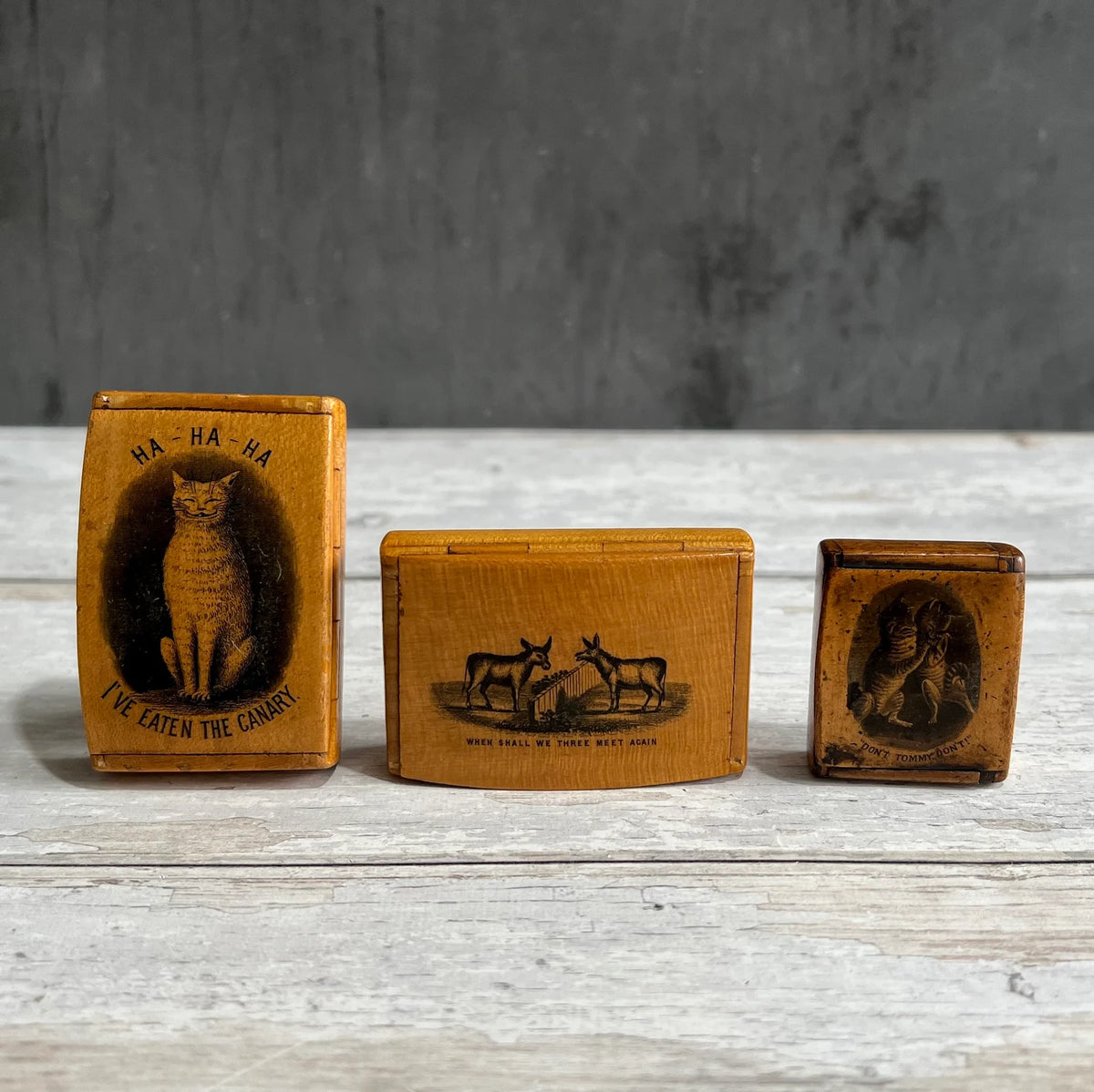 19th Century TINY Mauchline Ware Snuff Box Donkey Shakespeare Macbeth Adolph Frankau C 1850