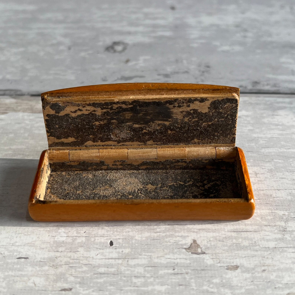 RARE 19th Century Miniature Newfoundland Dog Snuff Box Mauchline Ware The little Jockey C 1850