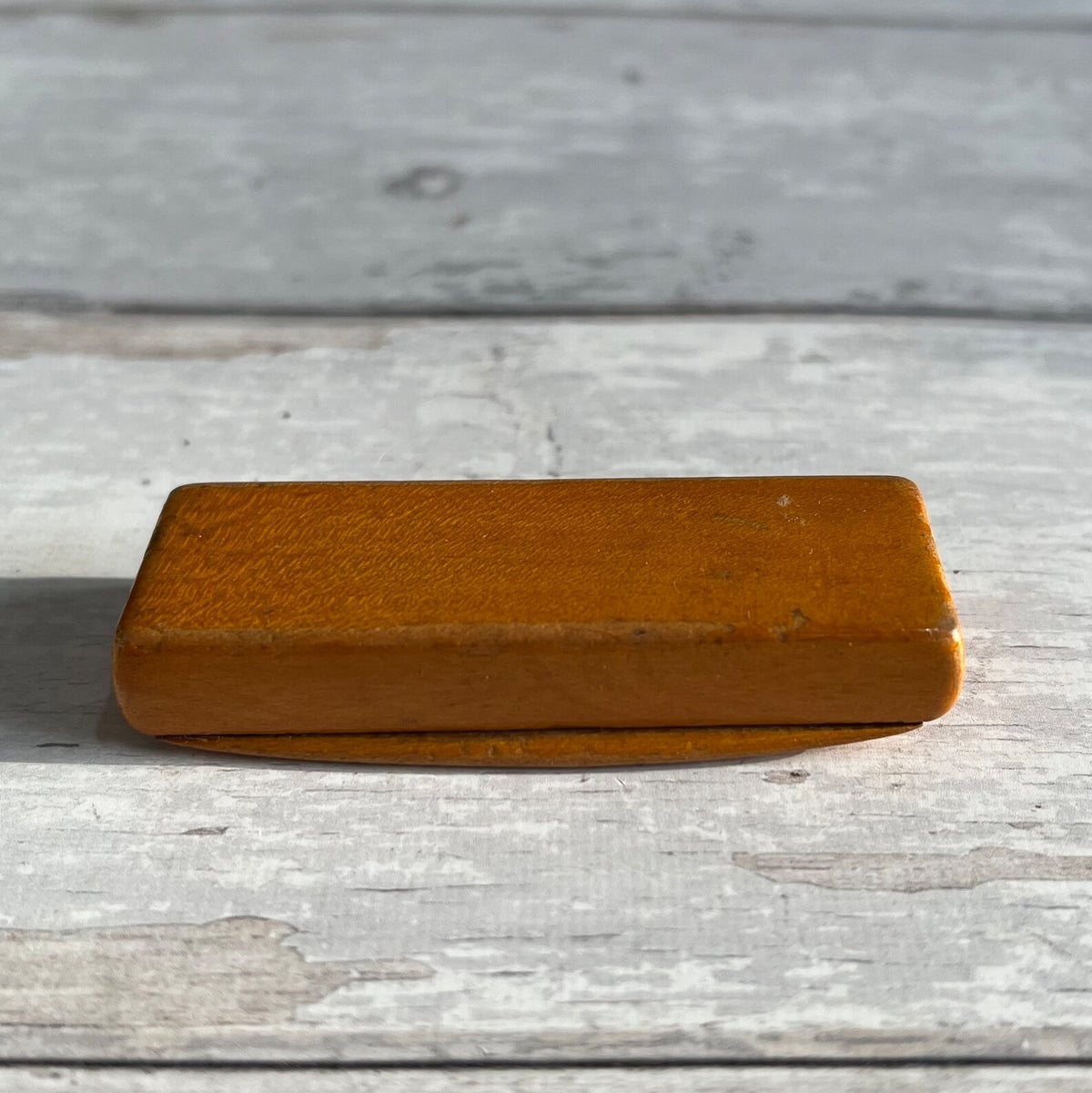 RARE 19th Century Miniature Newfoundland Dog Snuff Box Mauchline Ware The little Jockey C 1850