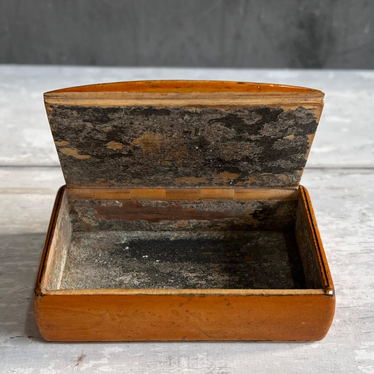 RARE 19th Century Snuff Box Monkey Dog Mauchline Ware C 1850