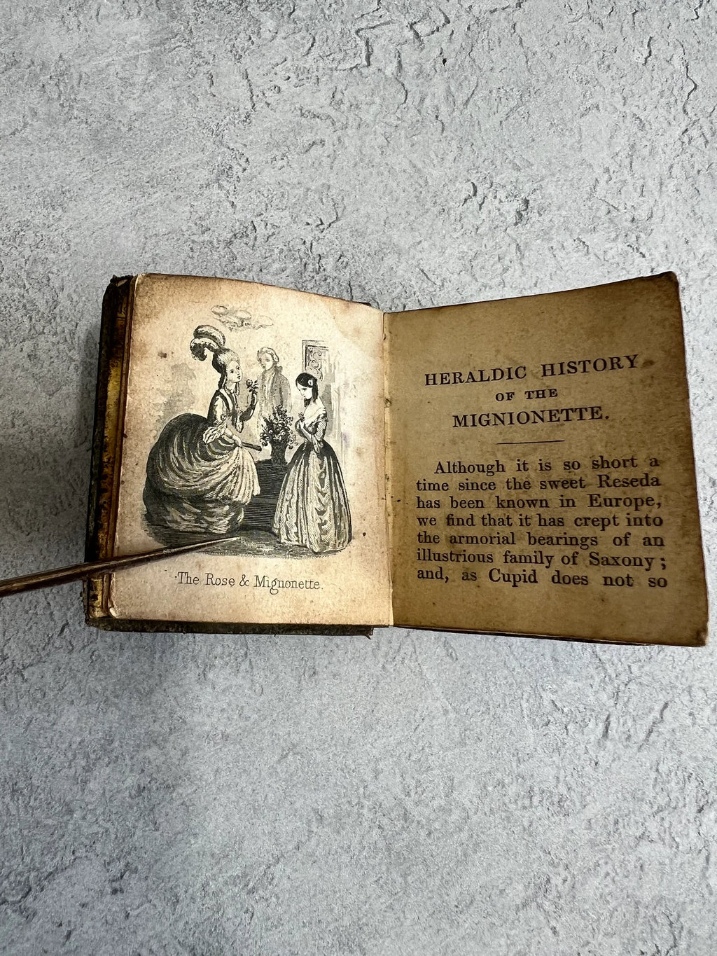 Miniature Book Affection's Gift 1848 Rock Brothers Gilt Leather
