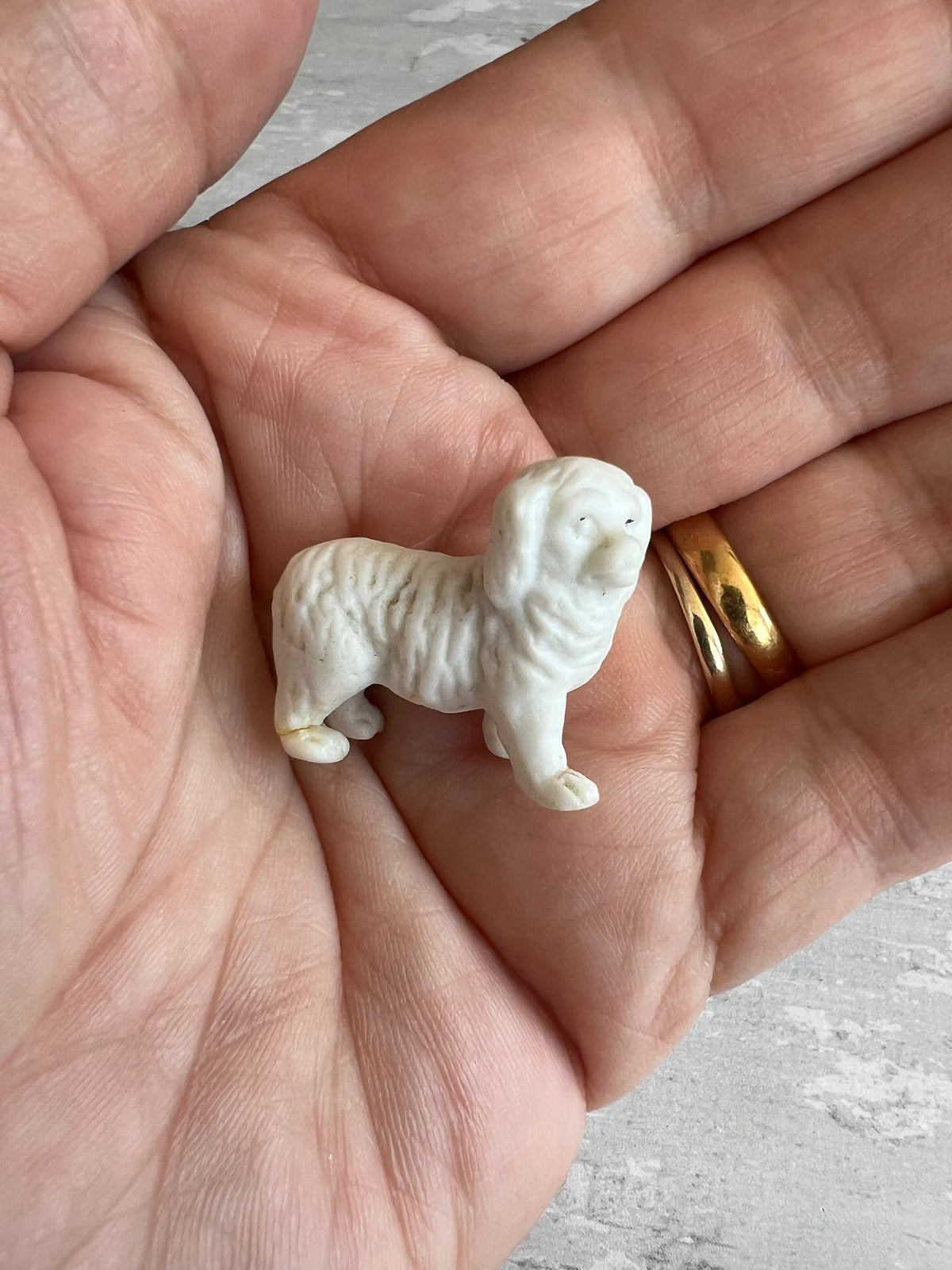 Antique Doll House Dog Trio Bisque White Dogs English Circa 1880