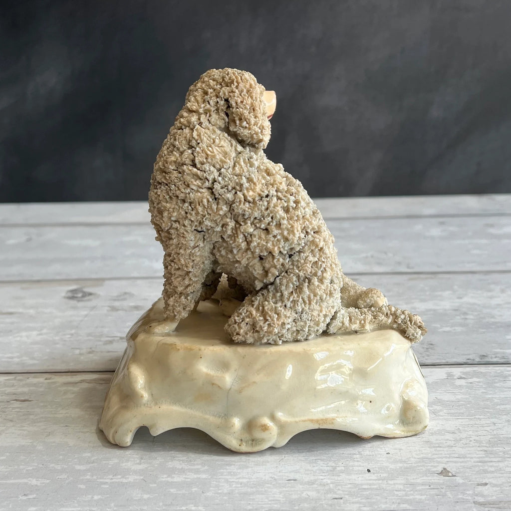 Rare Dudson English Porcelain Poodle Dog And Puppies Circa 1845
