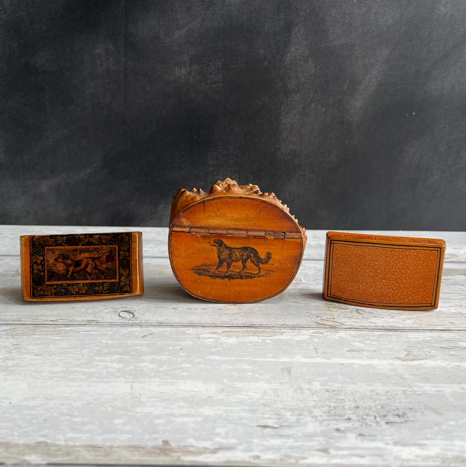 19th Century Small Dog Snuff Box Scottish Mauchline Ware C 1850
