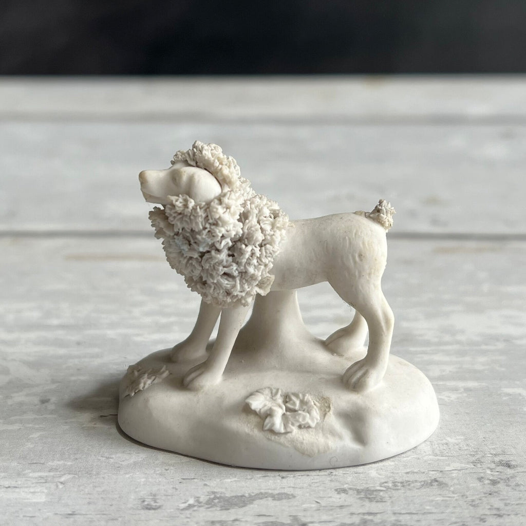 Miniature Chamberlain's Worcester TOY Dog Biscuit Porcelain Poodle with Lion Clip Circa 1830s AF
