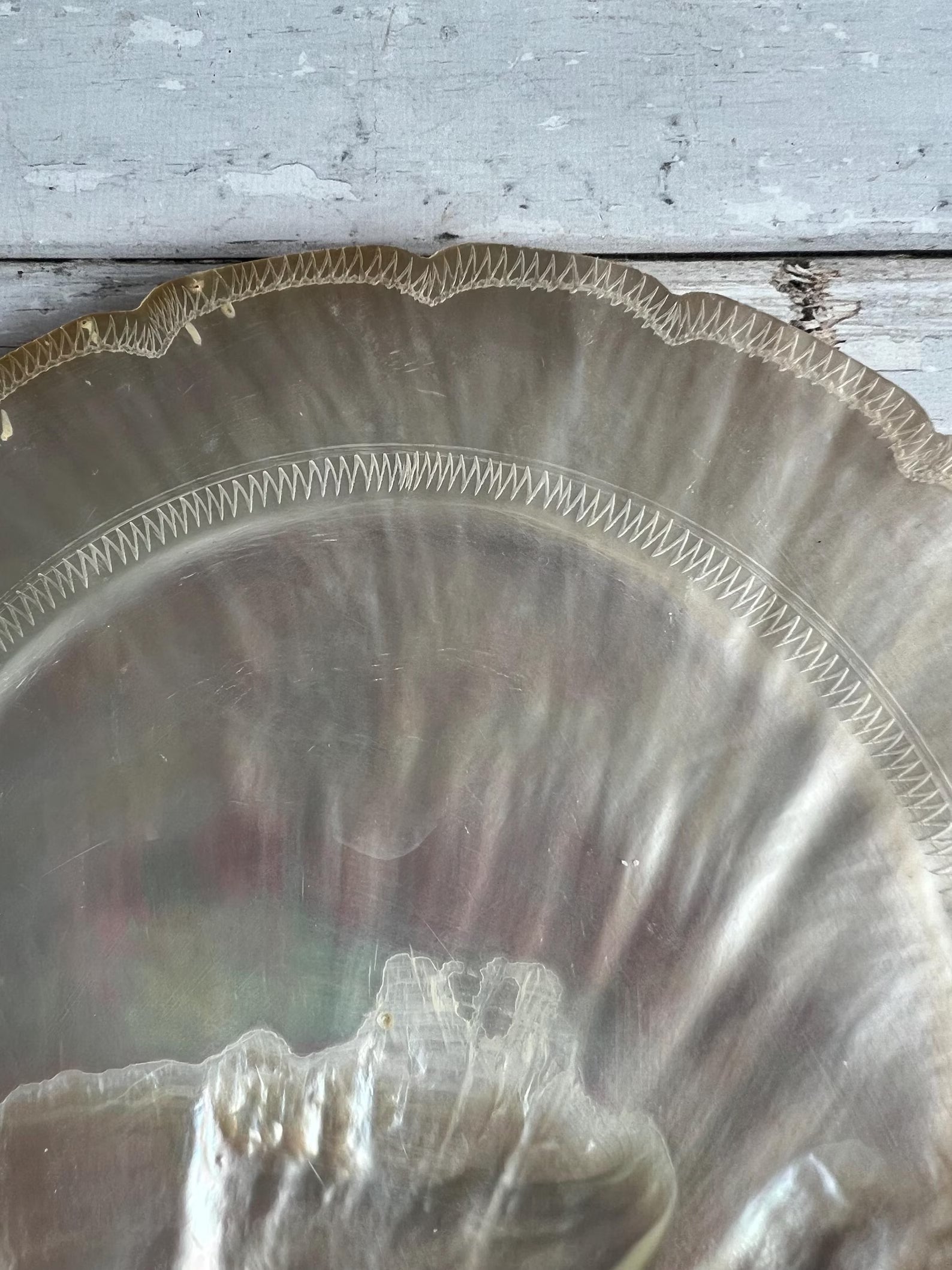 Mother of Pearl Dish Hand Carved 19th Century Circa 1890