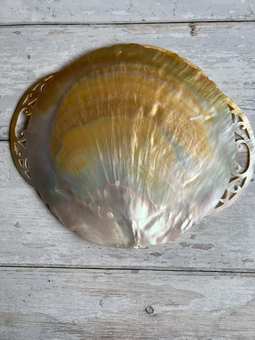 Mother of Pearl Dish Hand Carved 19th Century Circa 1890