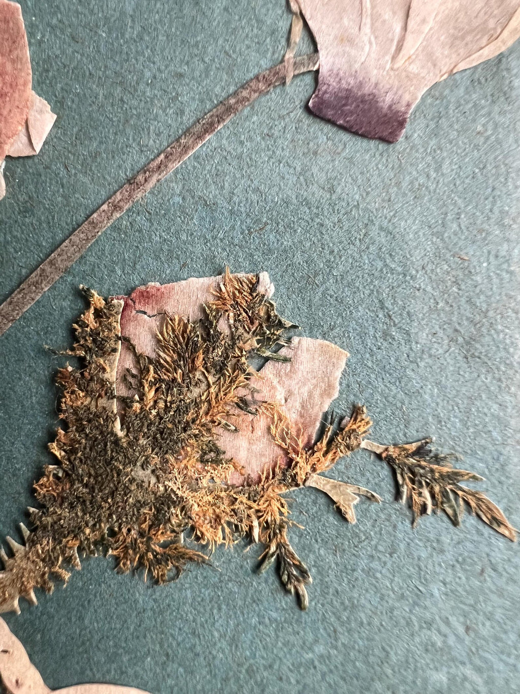 19th Century Cut Paper Collage Floral Picture Circa 1850