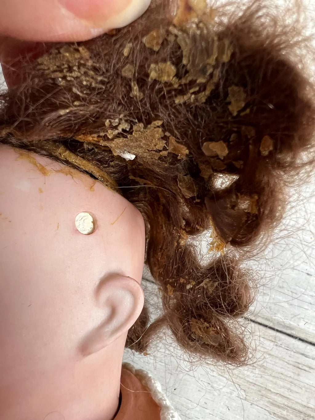 Antique 9 inches German Bisque Doll by Schoenau & Hoffmeister Porzellanfabrik Burggrub 1909 10/0