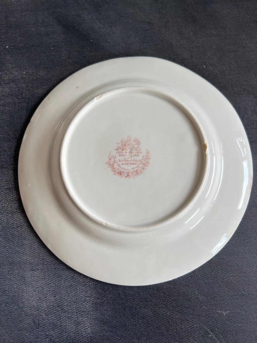 Chamberlain Worcester Porcelain Plate Exotic Bird Gilt Rim C 1815