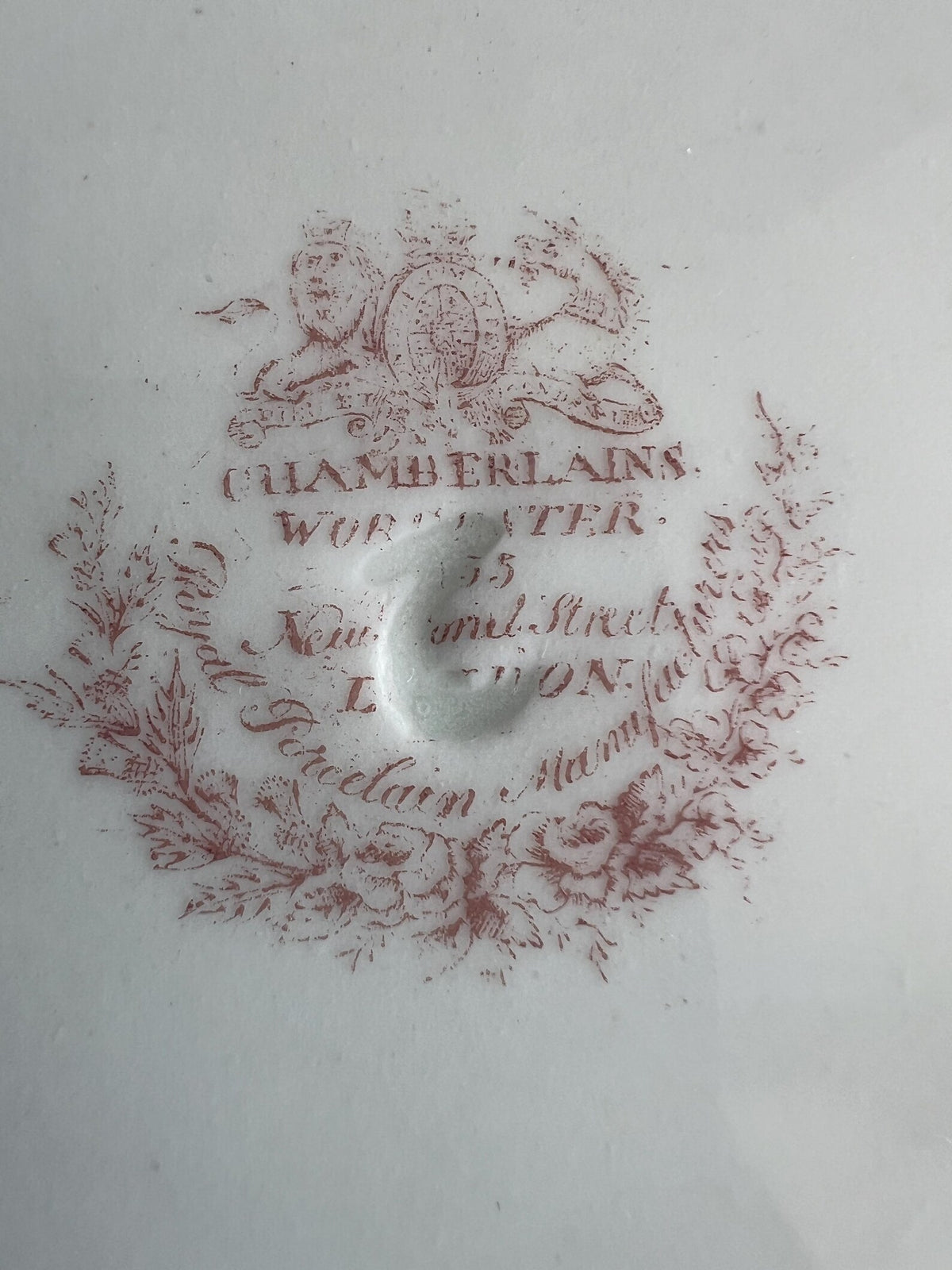 Chamberlain Worcester Porcelain Plate Exotic Bird C 1815
