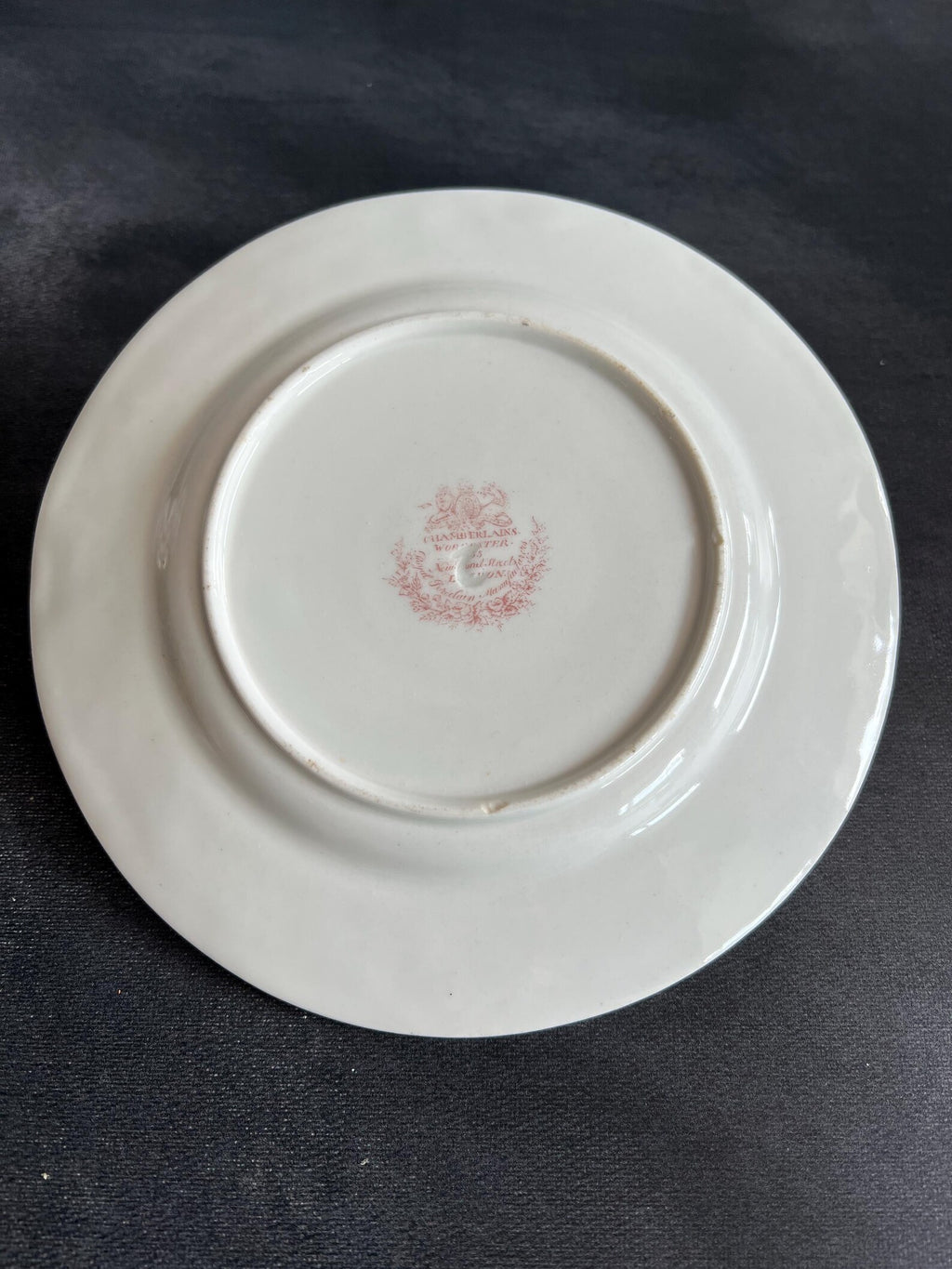 Chamberlain Worcester Porcelain Plate Exotic Bird C 1815