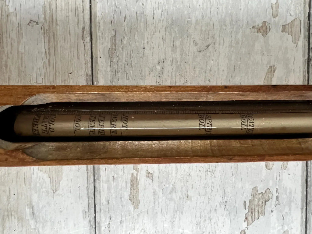Antique Kitchenalia Treen Bath Thermometer Wooden Floating C 1900