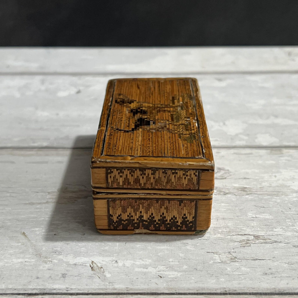 Antique Straw Work Box Dog Georgian Folk Art C 1820