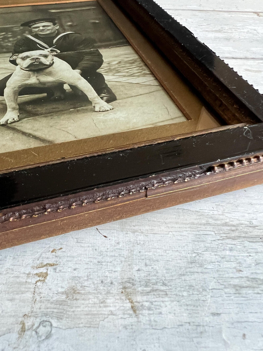 Vintage WW2 Photograph Bulldog Mascot and Sailor HMS Aurora C 1939