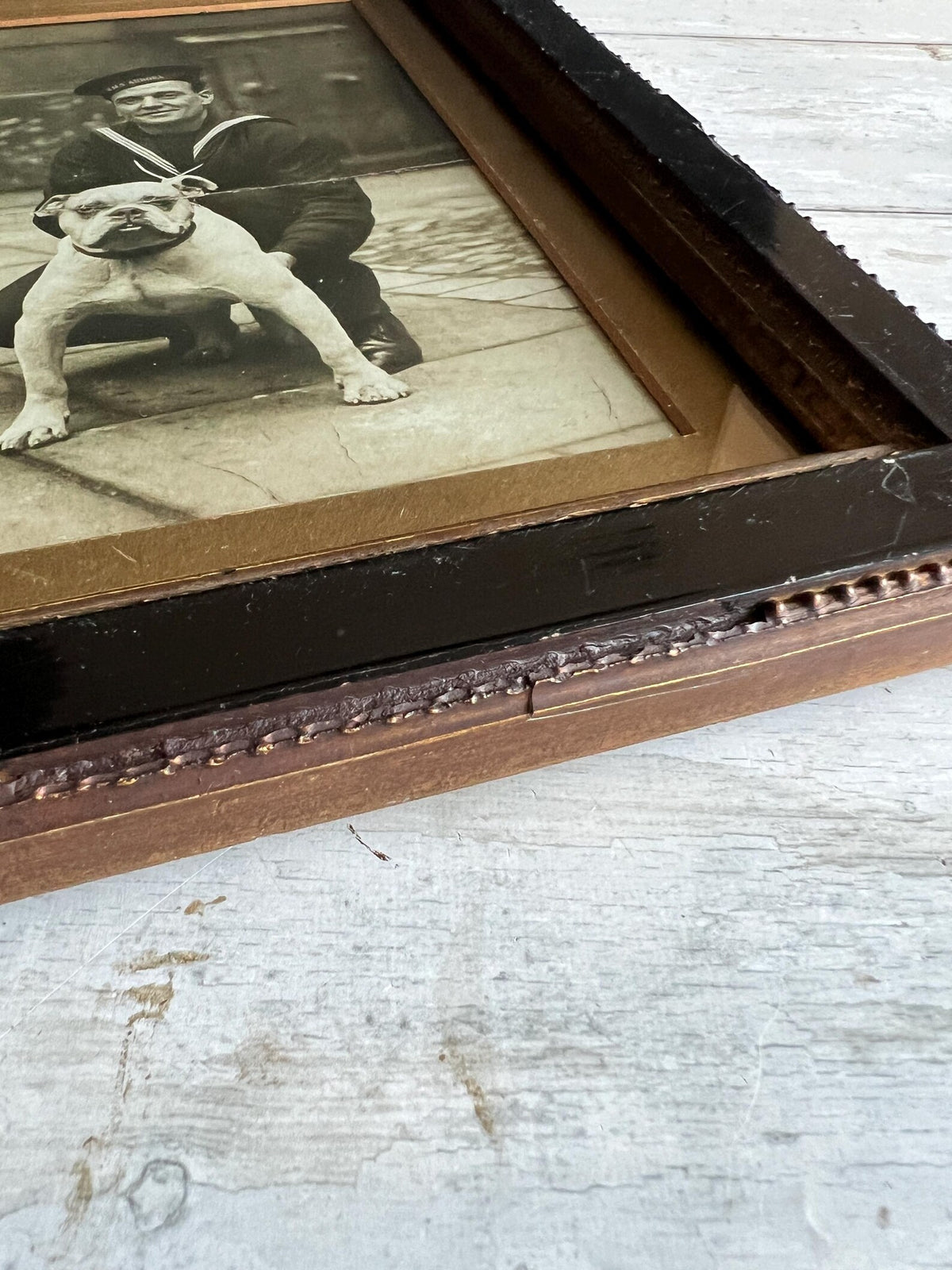 Vintage WW2 Photograph Bulldog Mascot and Sailor HMS Aurora C 1939