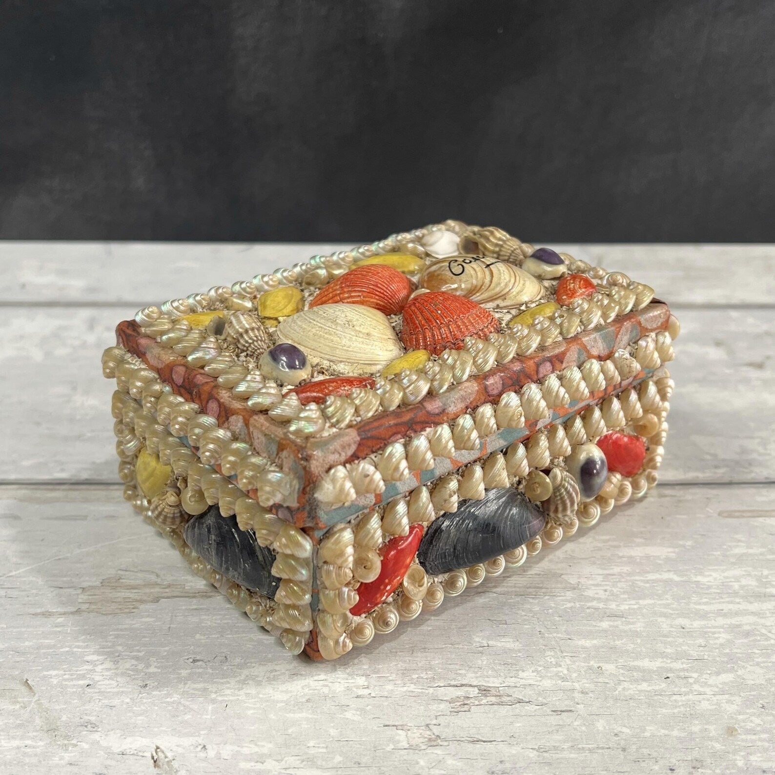 Victorian Sea Shell Trinket Box Shell Work C 1900