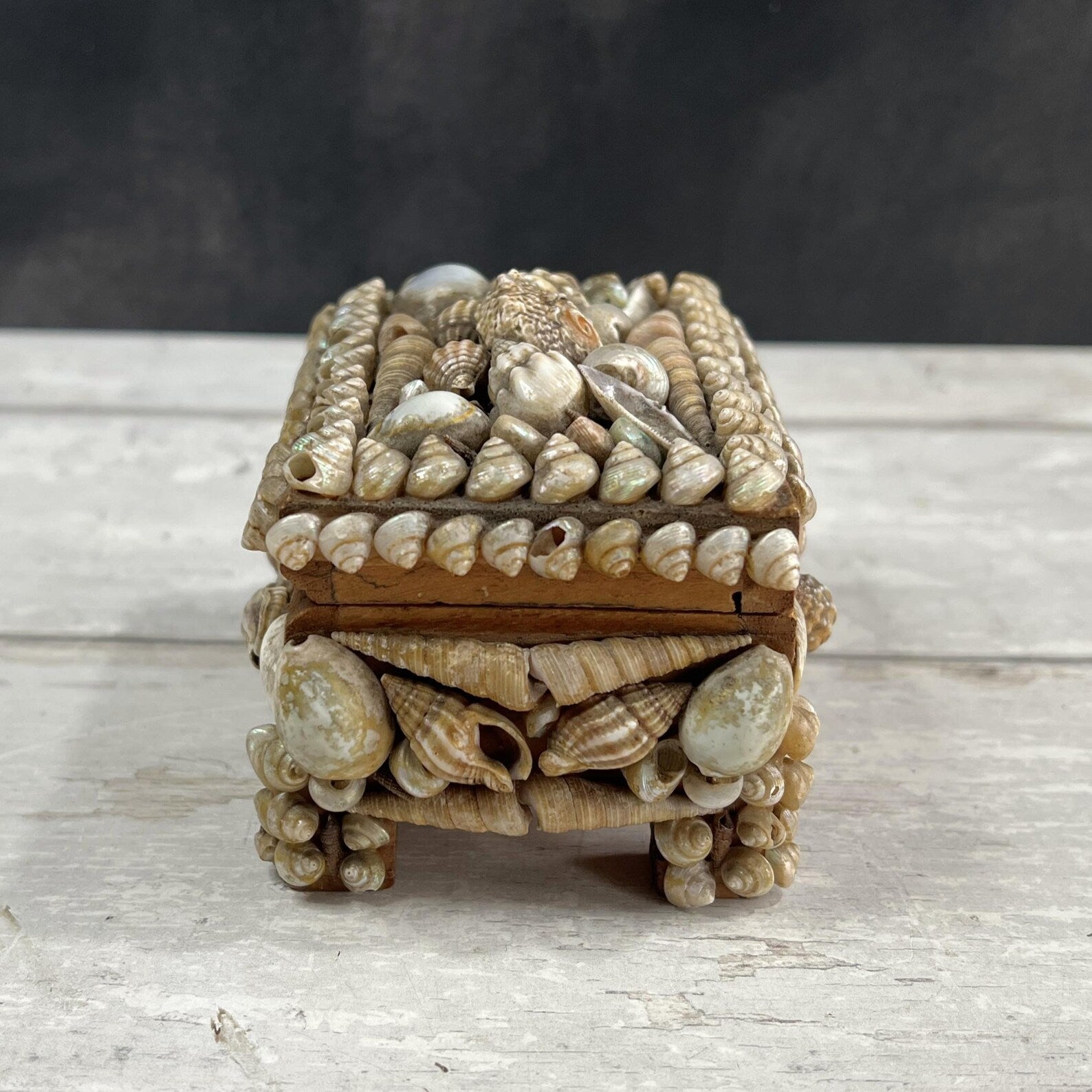 Victorian Sea Shell Trinket Box Shellwork Casket Circa 1900