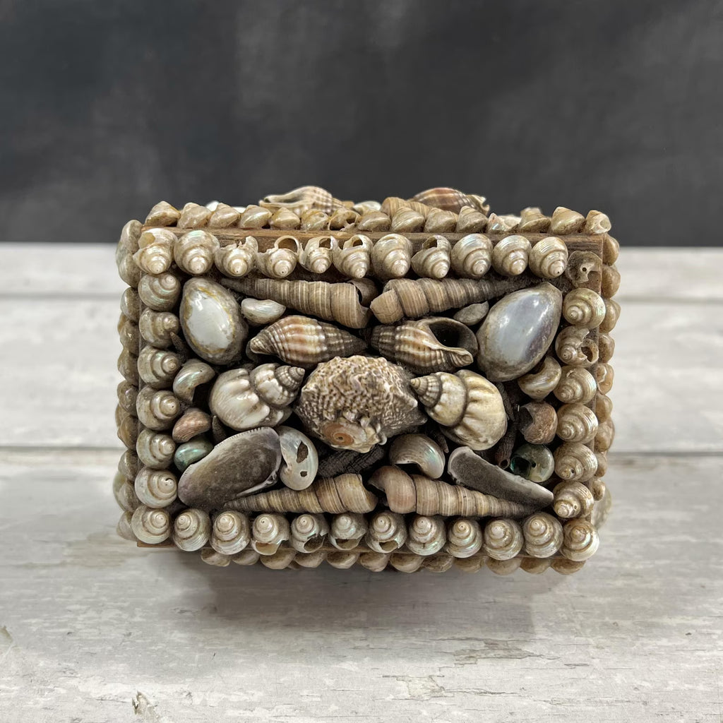 Victorian Sea Shell Trinket Box Shellwork Casket Circa 1900