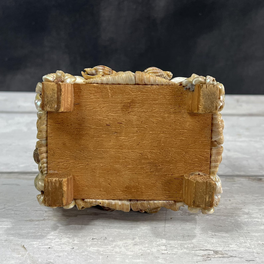 Victorian Sea Shell Trinket Box Shellwork Casket Circa 1900