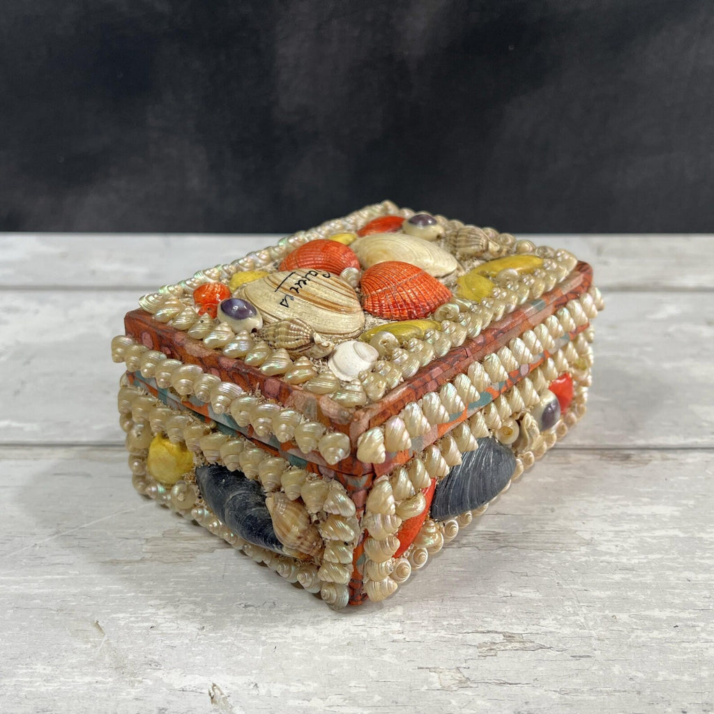 Victorian Sea Shell Trinket Box Shell Work C 1900