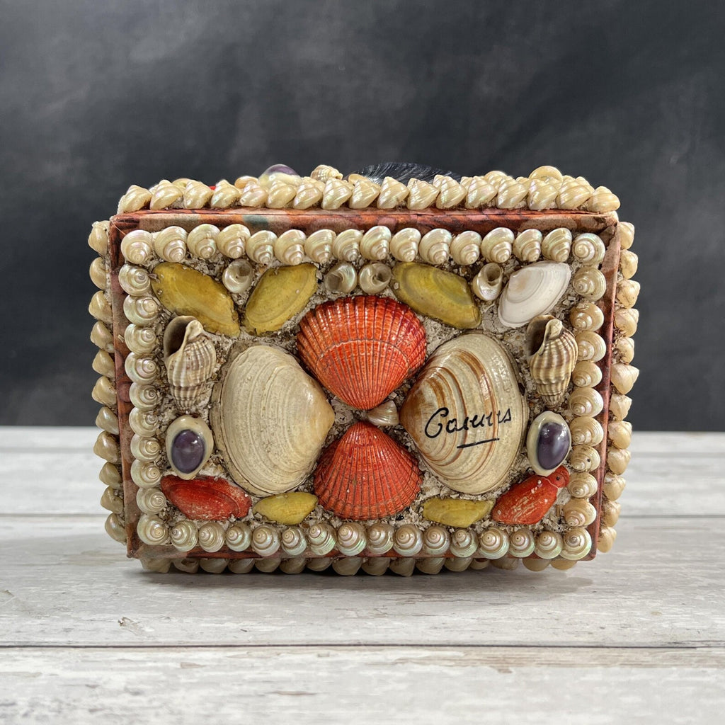 Victorian Sea Shell Trinket Box Shell Work C 1900