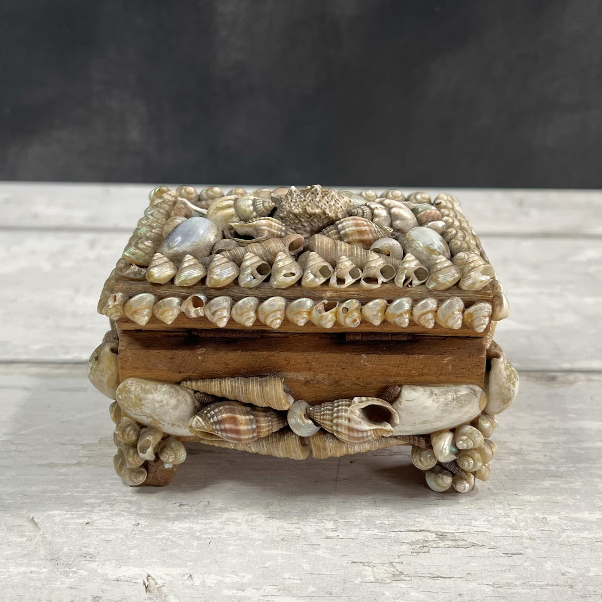 Victorian Sea Shell Trinket Box Shellwork Casket Circa 1900