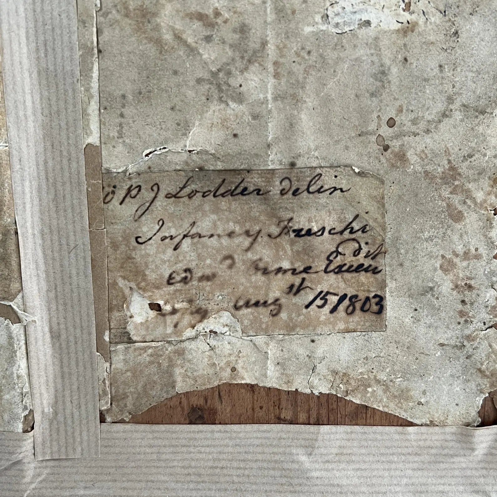 Antique Georgian Watercolor Portrait Child Dog Puppy After William Lodder 1803