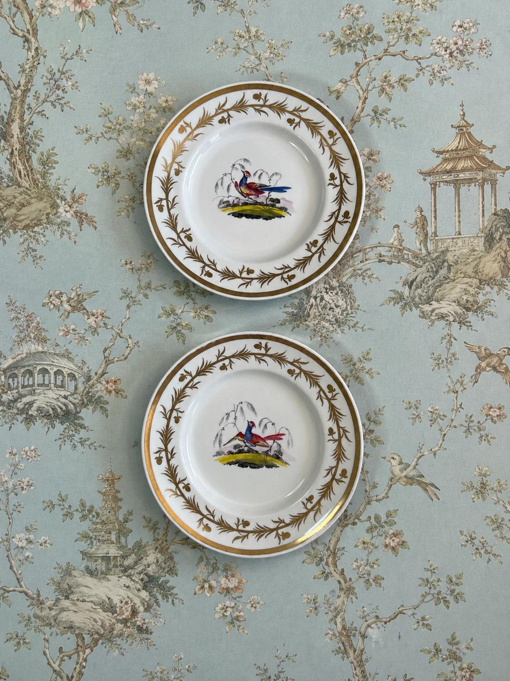 Chamberlain Worcester Porcelain Plate Exotic Bird C 1815