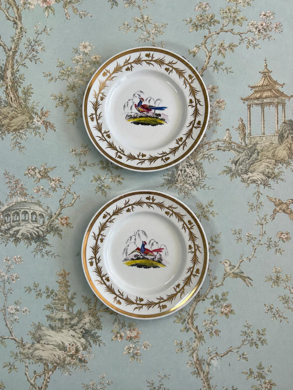 Chamberlain Worcester Porcelain Plate Exotic Bird C 1815