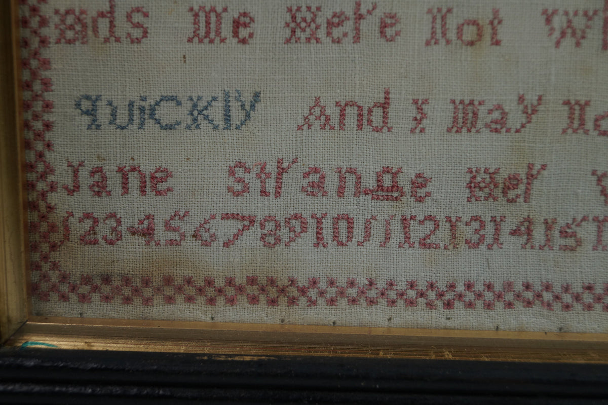 Victorian Sampler by Jane Strange 1840 Quirky