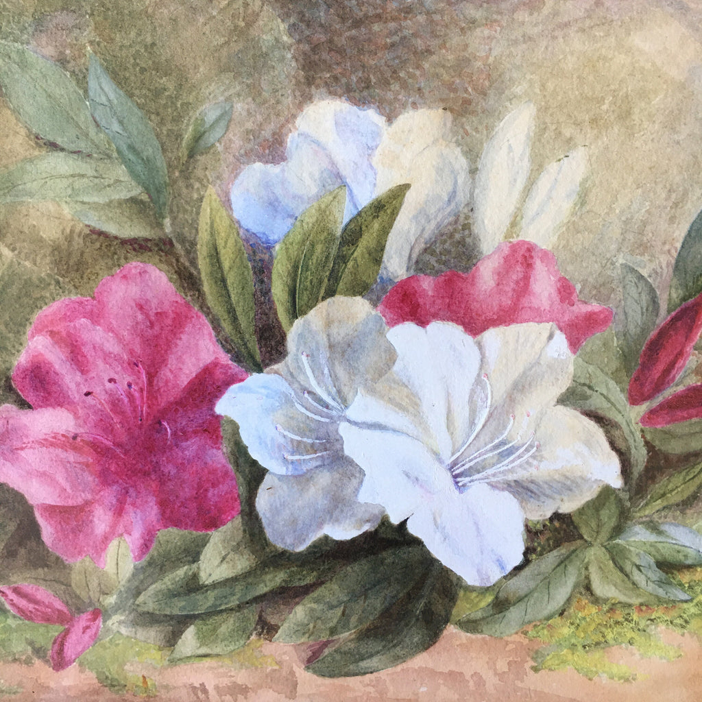 19th Century Floral Painting Flowers Victorian Circa 1890