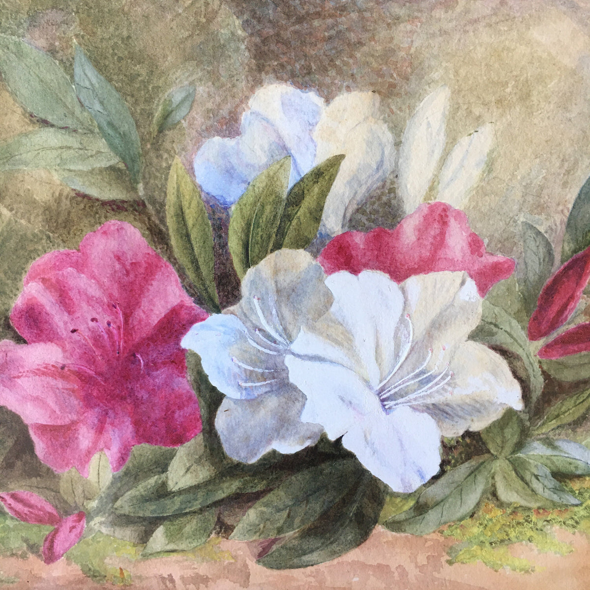 19th Century Floral Painting Flowers Victorian Circa 1890