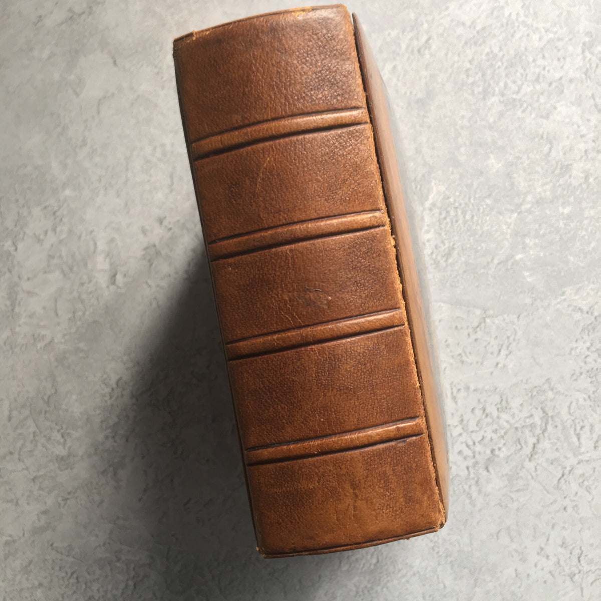 19th Century Sorrento Ware Photo Album DALE family Interest England and Australia