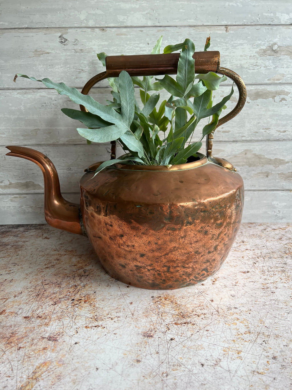 Antique Copper Kettle – Duke of Buccleuch Estate, Circa 1870