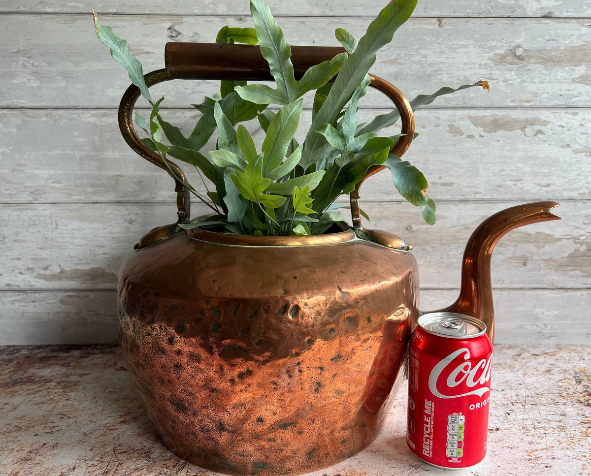 Antique Copper Kettle – Duke of Buccleuch Estate, Circa 1870